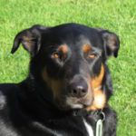 Profile photo of Pete Tindall